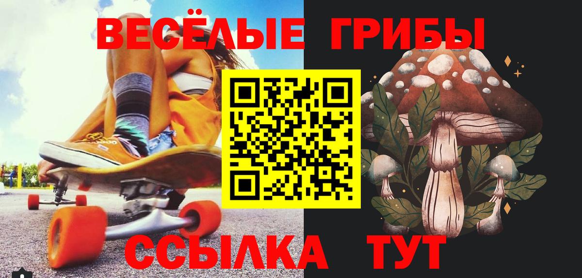 Галлюциногенные грибы Cubensis Будённовск