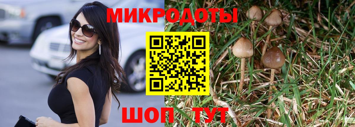 Псилоцибиновые грибы мицелий  Вход с VPN  Будённовск  Псилоцибиновые грибы Psilocybine cubensis 